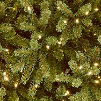 National Tree Company 10-ft. LED Fraser Fir Artificial Christmas Tree