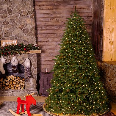 National Tree Company 10' Feel Real® Jersey Fraser Fir Medium Tree with 2000 Dual Color® LED lights