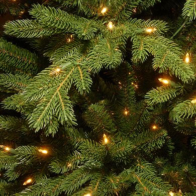 National Tree Company 7.5-ft. LED Princeton Fraser Fir Artificial Christmas Tree