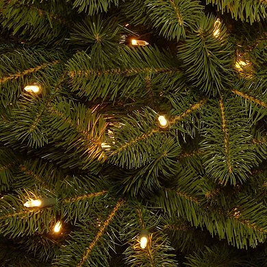 National Tree Company 7 1/2' Feel Real® Deluxe Downswept Douglas Fir Hinged Tree with 1200 Dual Color® LED Lights + Power Connect?