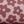 Blobby Floral