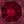 Lab Created Ruby