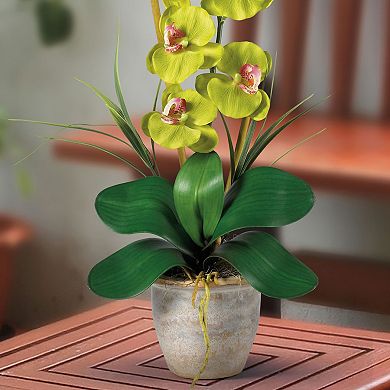nearly natural Single-Stem Silk Phalaenopsis Orchid Floral Arrangement