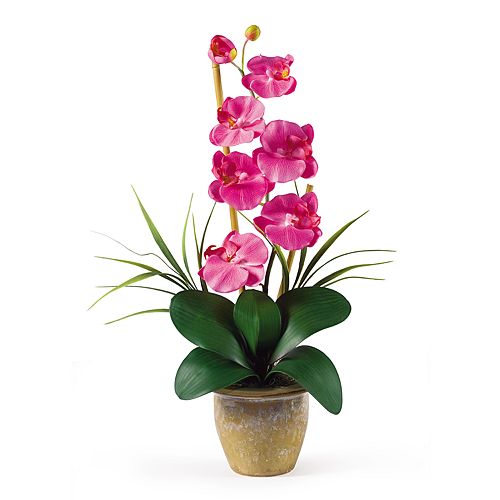 nearly natural Single-Stem Silk Phalaenopsis Orchid Floral Arrangement