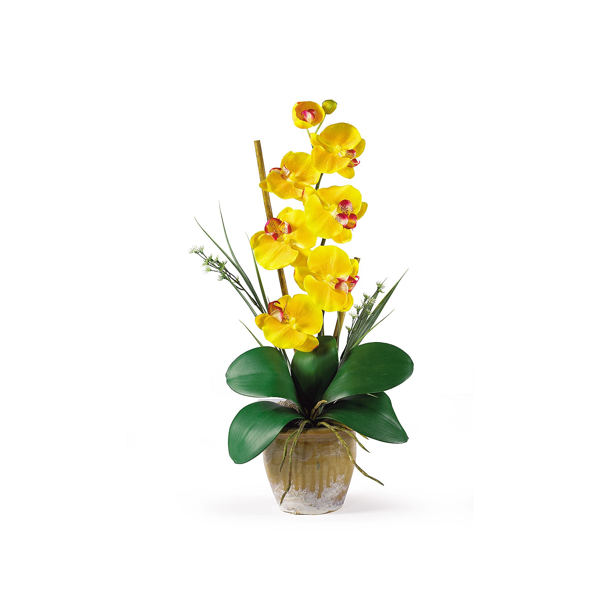 nearly natural Single-Stem Silk Phalaenopsis Orchid Floral Arrangement, Gol