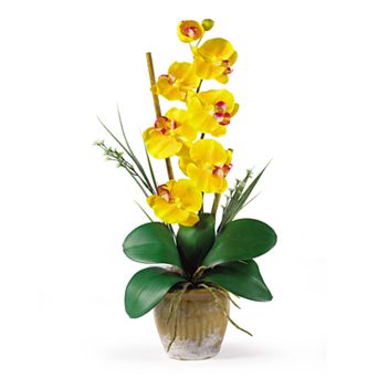 nearly natural Single-Stem Silk Phalaenopsis Orchid Floral Arrangement