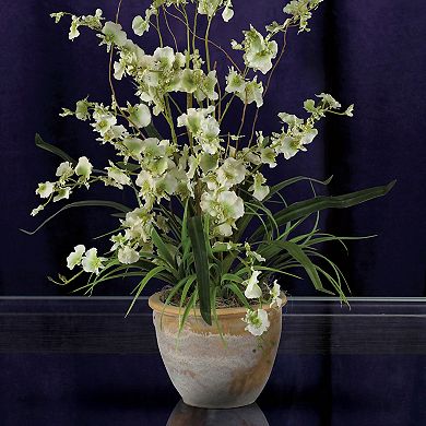 nearly natural Dancing Lady Silk Orchid Floral Arrangement