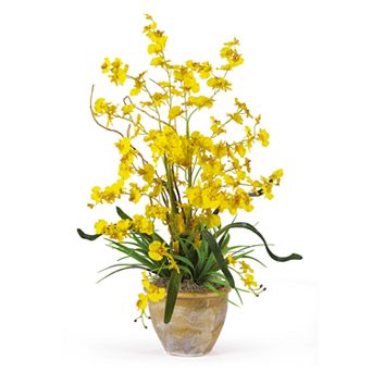 nearly natural Dancing Lady Silk Orchid Floral Arrangement