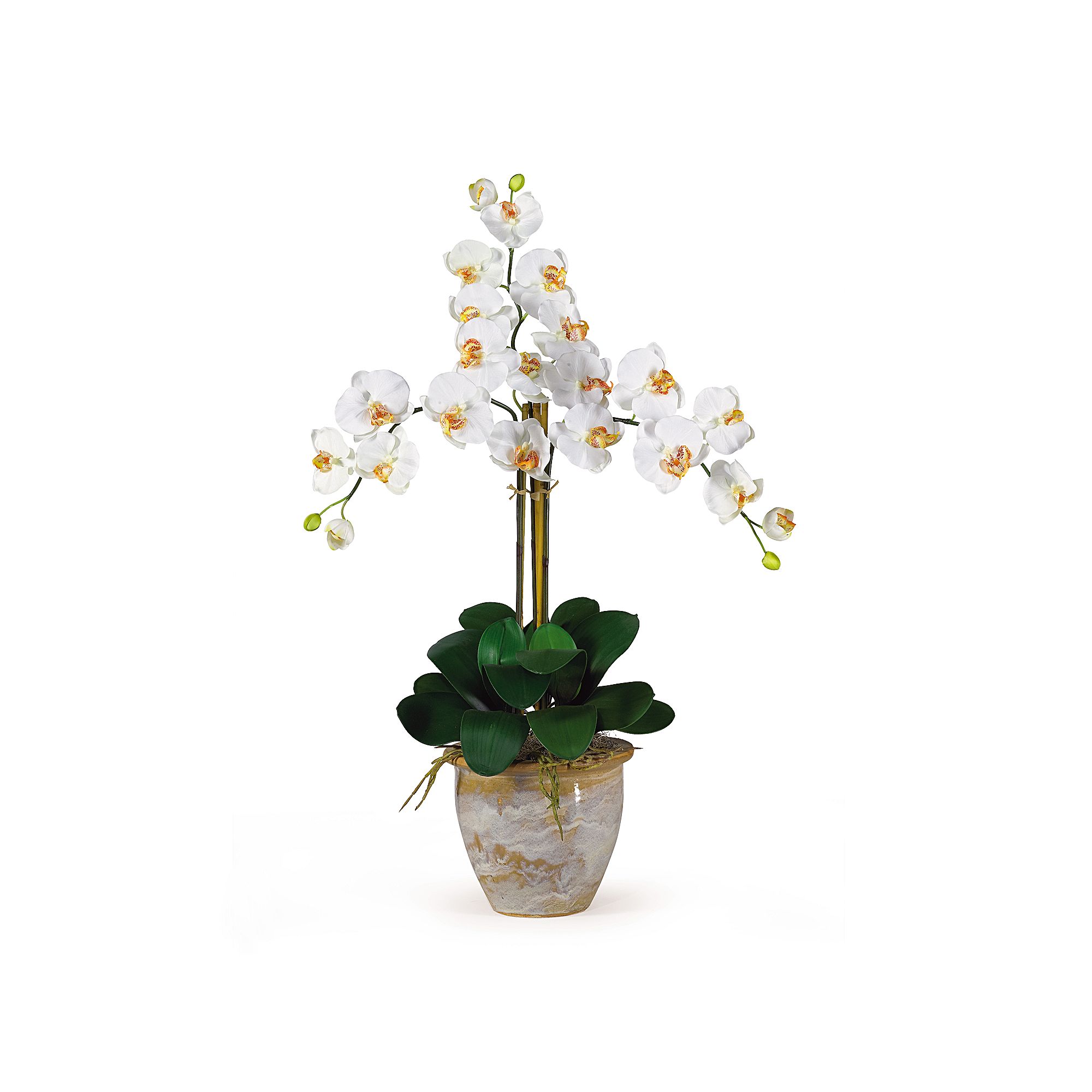 nearly natural Triple-Stem Silk Phalaenopsis Orchid Floral Arrangement, Ivo