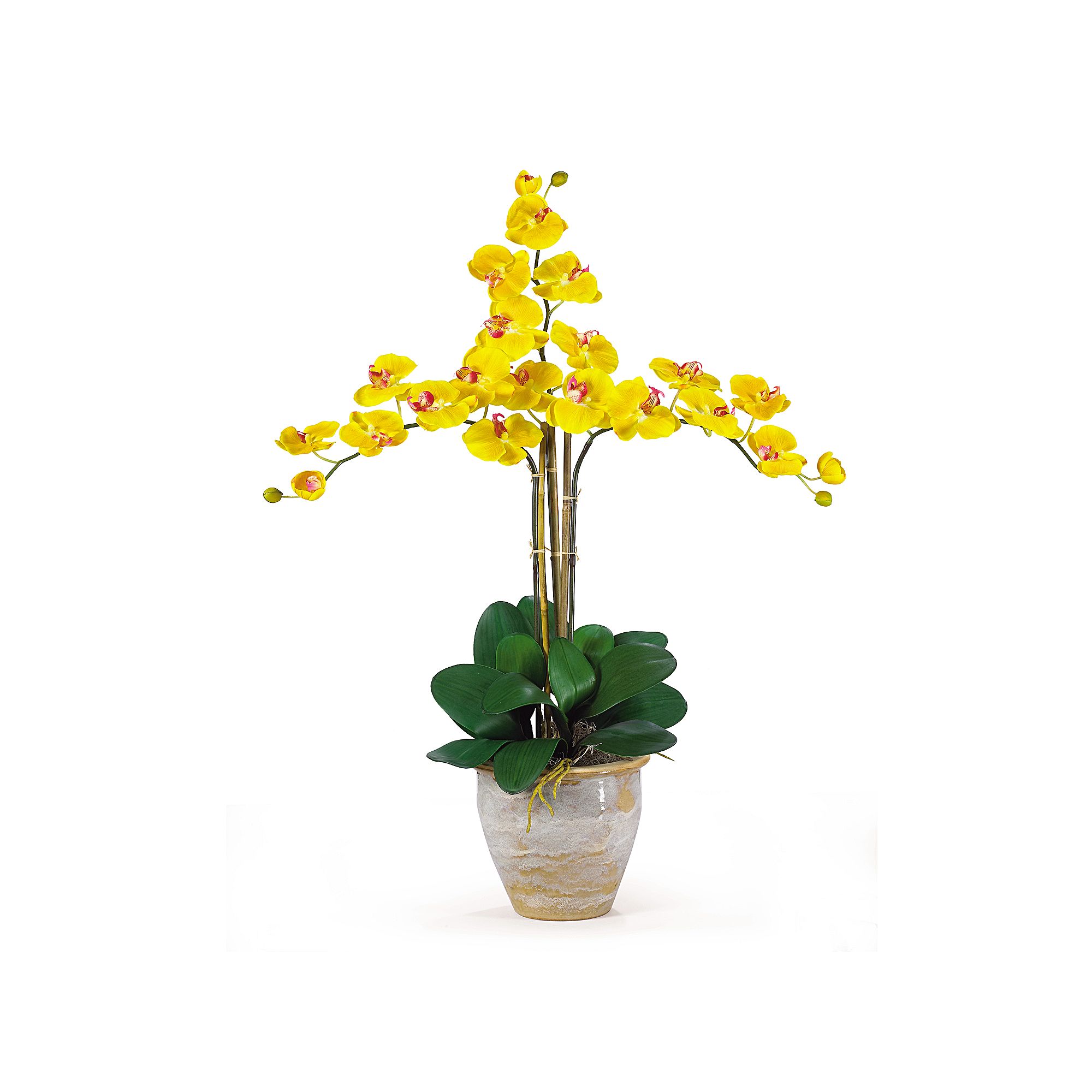 nearly natural Triple-Stem Silk Phalaenopsis Orchid Floral Arrangement, Gol