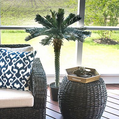 nearly natural Single Silk Sago Palm Tree