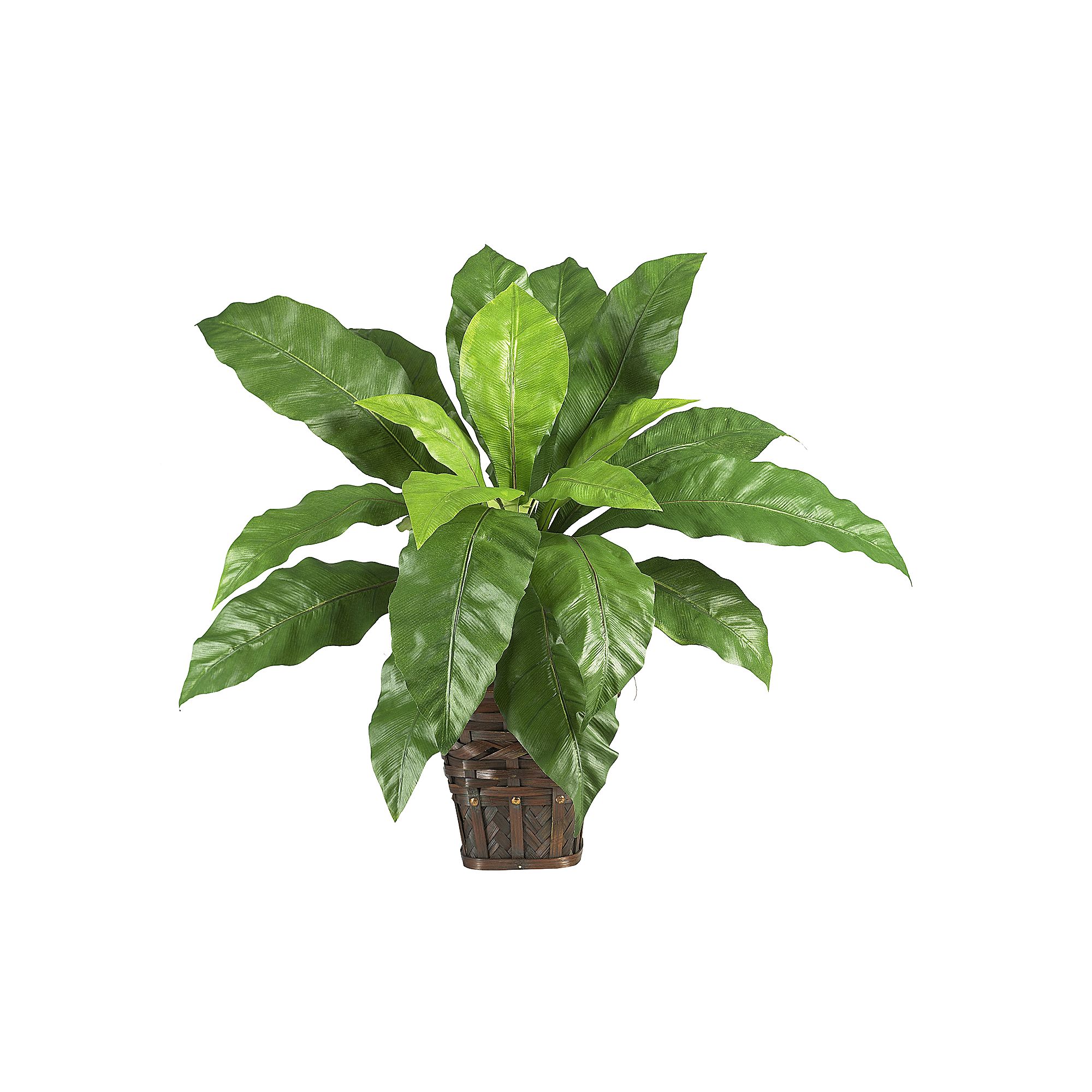 nearly natural Silk Birds Nest Fern Plant in a Planter, Multicolor