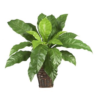 nearly natural Silk Bird's Nest Fern Plant in a Planter