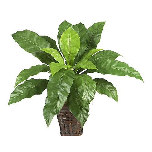 nearly natural Silk Bird's Nest Fern Plant