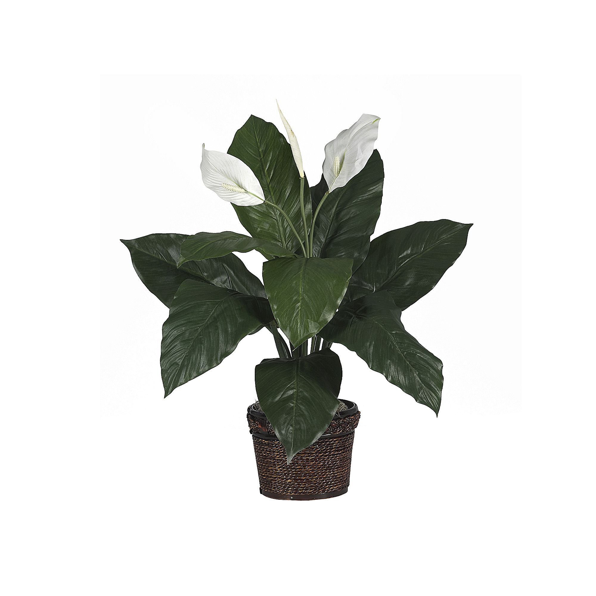 nearly natural Silk Spathyfillum Plant in a Wicker Planter, Multicolor