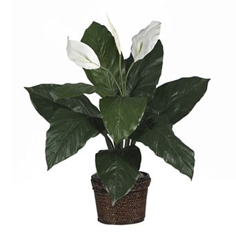 nearly natural Silk Spathyfillum Plant in a Wicker Planter
