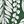 Green Palm