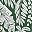 Green Tropical