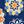 Navy Medallion