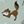 Seafoam Foxes
