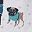 Teal Dogs