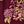 Berry Open Tapestry