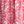 Coral Stamped Tile