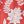 Rust Global Floral
