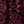 Wine Autumn Tile