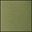 Kiwi Green
