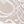 White Bloom Lace
