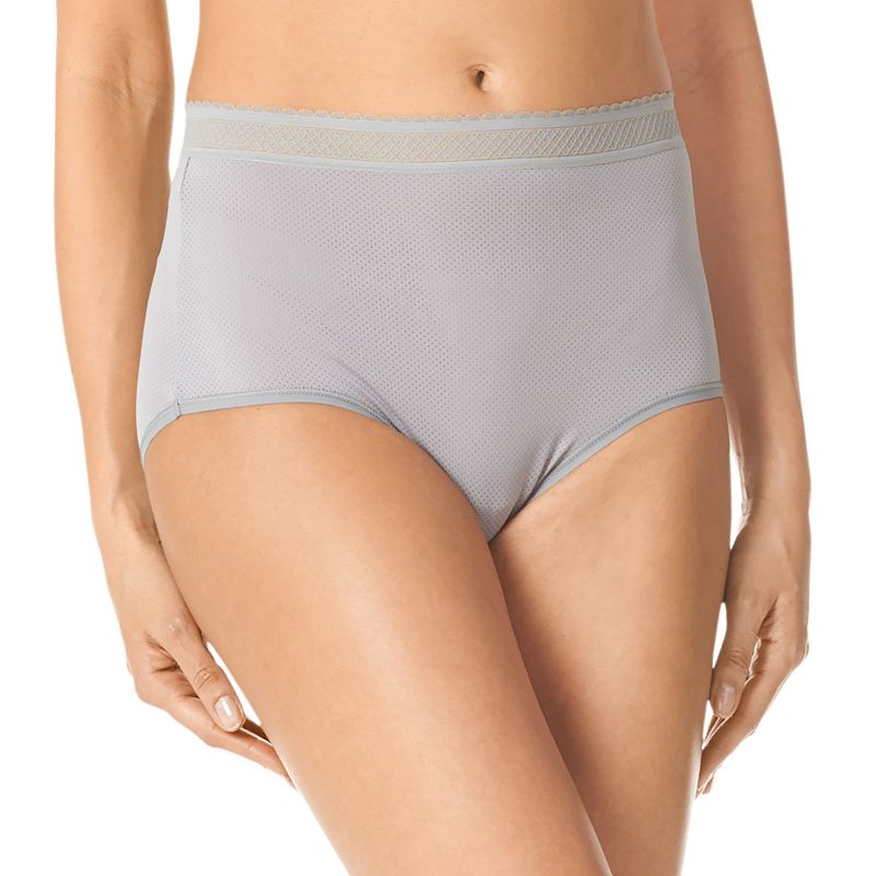 UPC 608926365878 product image for Warner's Breathe Freely Brief Panty RS4901P, Women's, Size: Large, Grey | upcitemdb.com