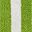 Lime Green White