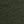 Medium Olive