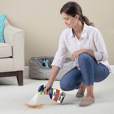 BISSELL 22-oz. Woolite Instaclean Pet Stain Remover