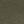 Medium Olive