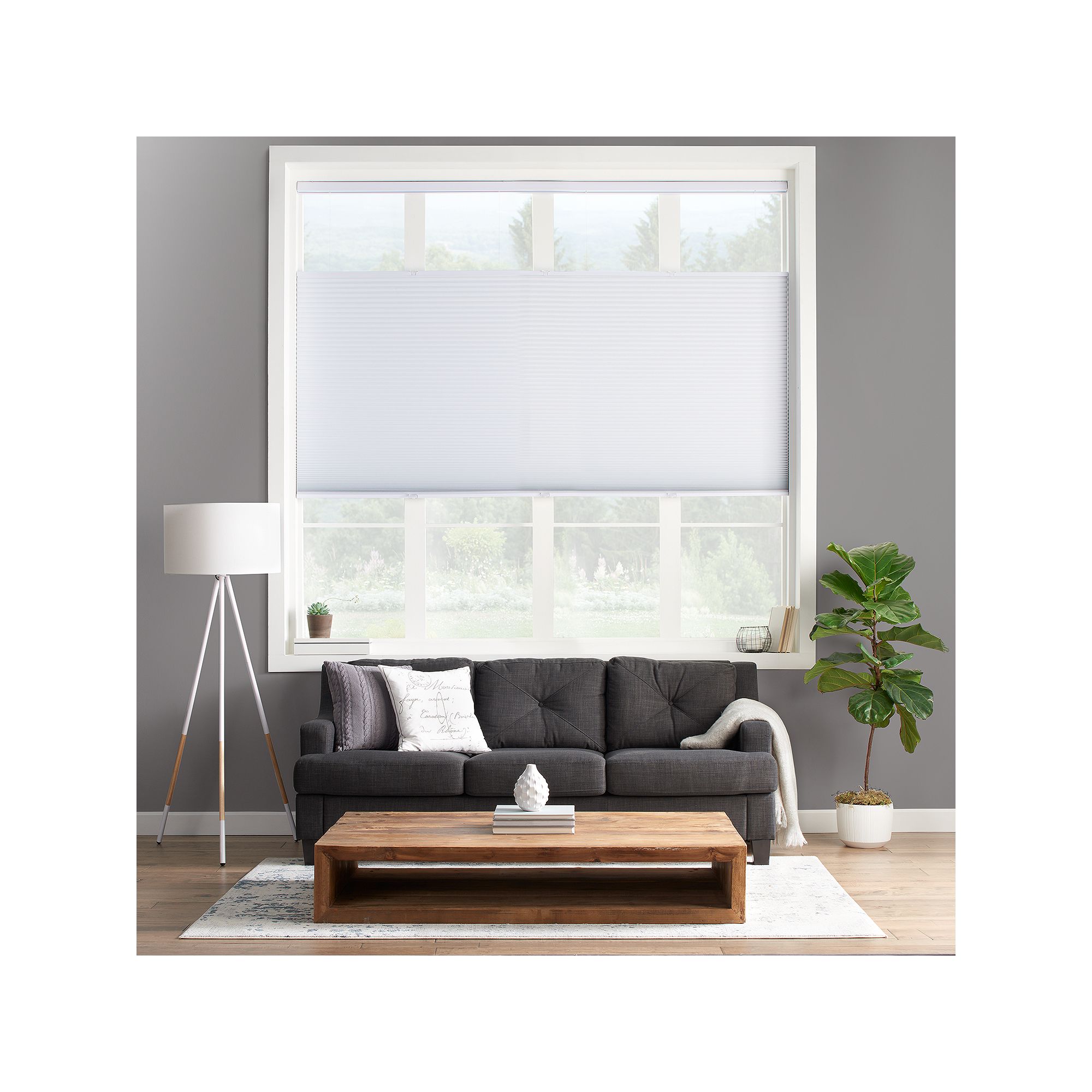 Sonoma Goods For Life® Custom Cordless Blackout Top Down Bottom Up Shade 