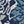 Navy Ivory
