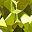 Peridot