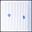 White Dots