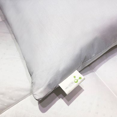 Dream On 2-pack Cotton Nano Feather Pillow