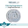 Dream Lab Acupressure Comfort 15 lb Weighted Blanket with Removable Cover