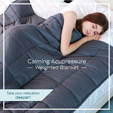 Dream Lab Acupressure Comfort 15 lb Weighted Blanket with Removable Cover