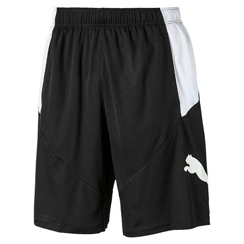 dry cell puma dry cell puma