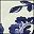 Navy Floral