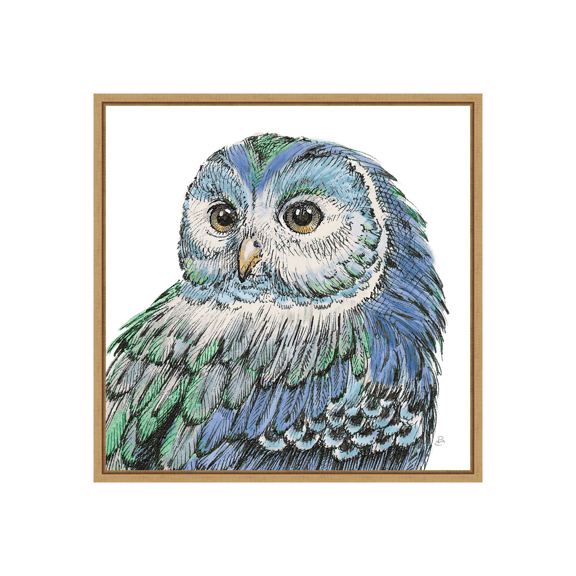 Amanti Art Beautiful Owls I Peacock Crop Framed Wall Art, Brown