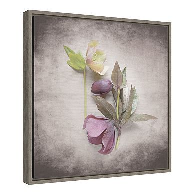 Amanti Art 'Vintage Hellebore Study VII' by Felicity Bradley