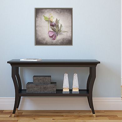 Amanti Art 'Vintage Hellebore Study VII' by Felicity Bradley