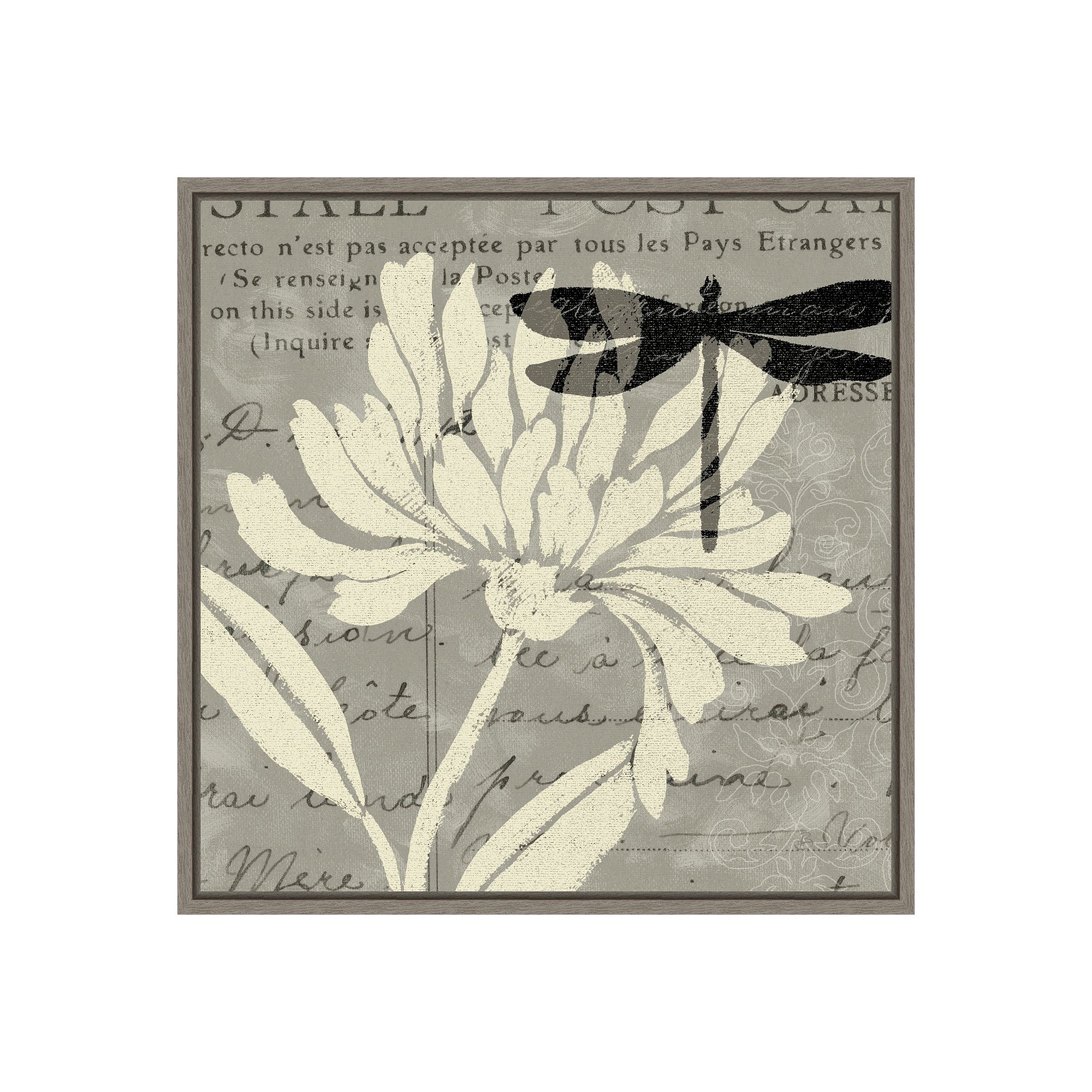 Amanti Art Natural Prints II Framed Canvas, Gray