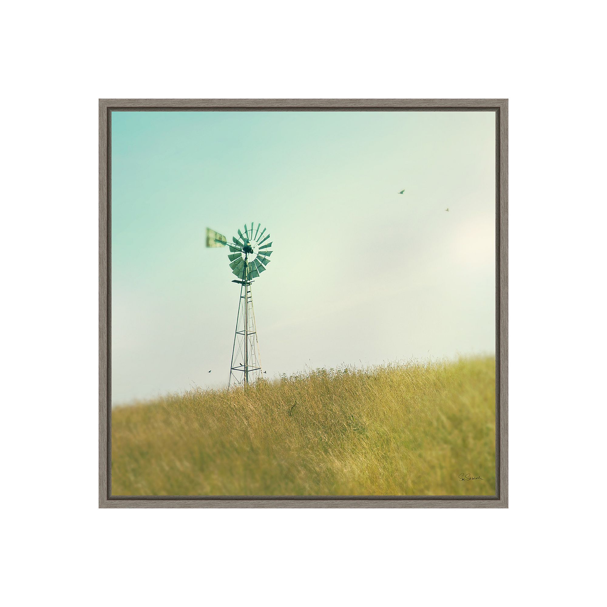 Amanti Art Farm Morning IV Square (Windmill) Framed Canvas, Gray